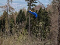 Cade con il parapendio e resta sospesa su un albero a 30 metri da terra