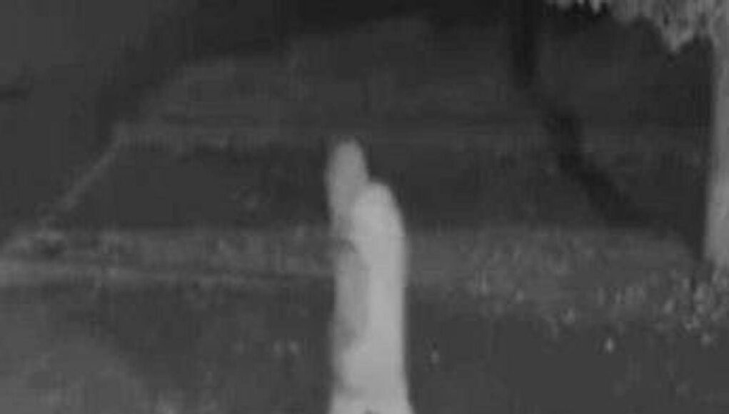 Fermato Elia Del Grande, era alla guida di un’auto rubata