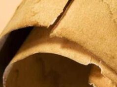 Iliade in una mummia in Egitto, il chiarimento: “Papiro usato come imballaggio”