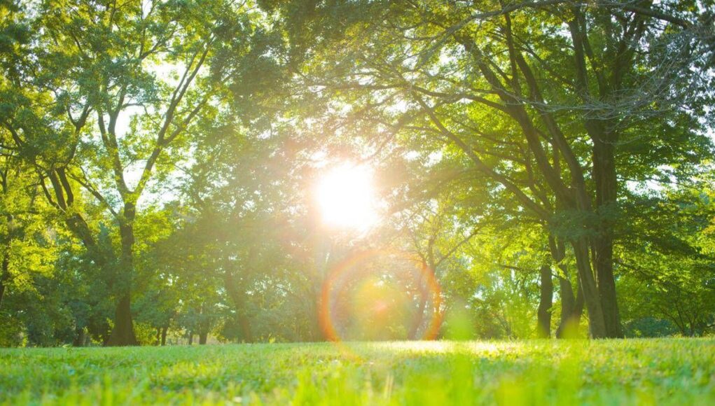 Pasqua e Pasquetta con sbalzo termico, caldo (quasi) estivo e rischio valanghe: le previsioni meteo