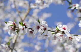 Ribaltone meteo, a Pasqua e Pasquetta arriva la primavera