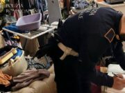 Roma, neonato tra droga e rifiuti: madre denunciata, arrestato il compagno