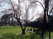 Temperature sopra la media, ma potrebbe tornare la pioggia: previsioni meteo