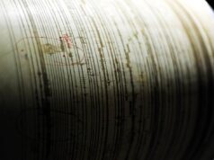 Terremoto di magnitudo 3 nel Maceratese, epicentro a Sant’Angelo in Pontano