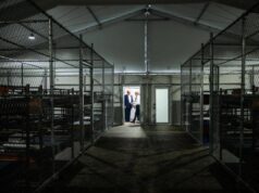 Trump in pressing per riaprire il carcere di Alcatraz, tycoon chiede al Congresso 152 milioni