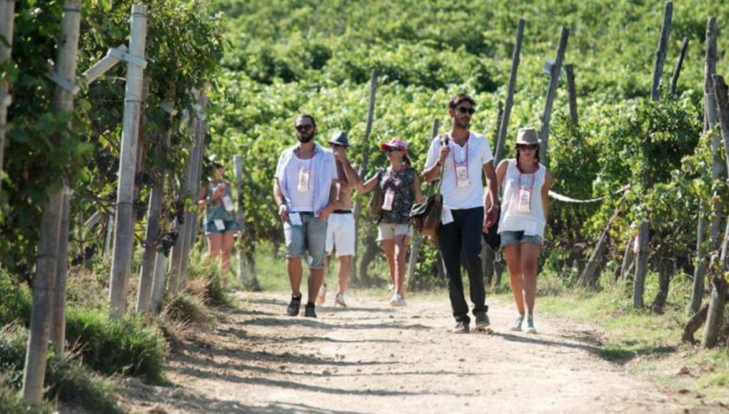 Turismo, UniCredit-Nomisma Wine Monitor: da quello del vino 3 miliardi di valore per cantine