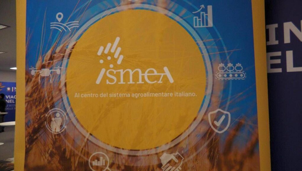 Vinitaly, vino italiano leader: focus su mercati esteri e nuovo bando OCM Promozione