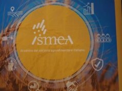 Vinitaly, vino italiano leader: focus su mercati esteri e nuovo bando OCM Promozione