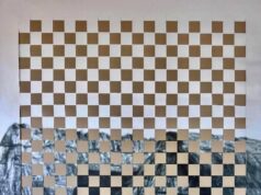 Al Mic Faenza Giorgia Severi presenta ‘Losing Cultural Landscapes’