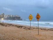 Australia, uomo muore dopo attacco di squalo al largo di Perth