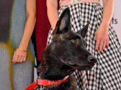 Cannes, il cane Yuri vince la Palm Dog: è la star del film ‘La Perra’