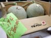 Due meloni venduti a 31mila euro, l’asta choc in Giappone per i frutti ‘d’oro’