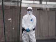 Hantavirus, l’esperta: “Più letale ma diverso da Covid, non si rischia nuova pandemia”