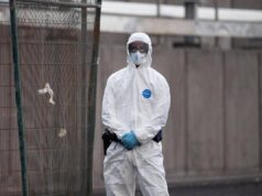 Hantavirus, l’esperta: “Più letale ma diverso da Covid, non si rischia nuova pandemia”