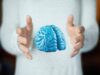 Imparare ad essere altruisti, così il cervello costruisce i comportamenti sociali