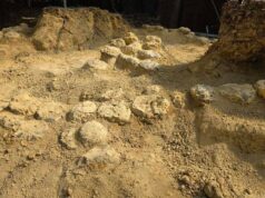 In Francia trovate oltre 100 uova di dinosauro, hanno 72 milioni di anni