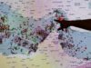Iran, Trump lancia ‘Project Freedom’ a Hormuz: Teheran alza il livello dello scontro