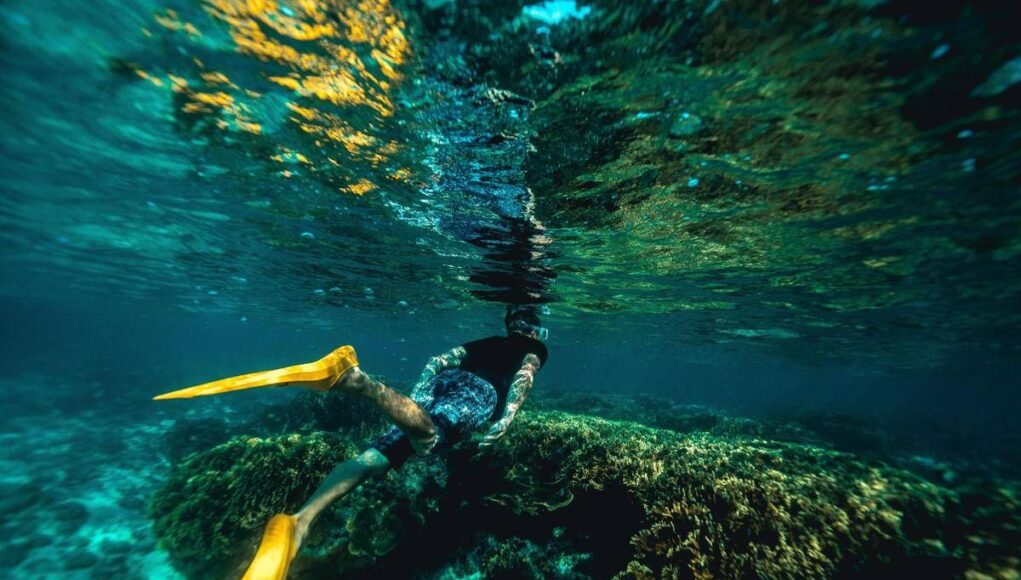 Italiani morti alle Maldive durante immersione, lo pneumologo: “Con concentrazioni elevate l’ossigeno diventa tossico”