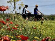 Medicina personalizzata, in bici sulla via Francigena per prevenzione e ricerca contro il cancro