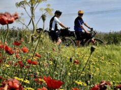 Medicina personalizzata, in bici sulla via Francigena per prevenzione e ricerca contro il cancro