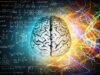 Milano, BrainSpace house per scoprire legame tra benessere di mente e cervello