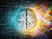 Milano, BrainSpace house per scoprire legame tra benessere di mente e cervello