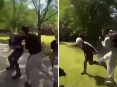 Parma, docenti aggrediti e picchiati da studenti: “E non chiamare il 113”