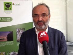 Sostenibilità, Pratesi (Eiis): “Nuove generazioni devono assumersi responsabilità”