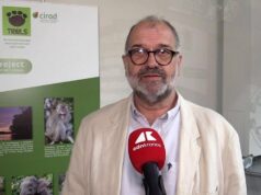 Sostenibilità, Rival (Cirad): “Con Trails integrazione tra foreste e palma da olio”