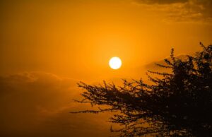 Torino e Piemonte nella morsa del caldo: allerta gialla per temporali oggi, nel weekend attesi fino a 39°C meteo sole caldo