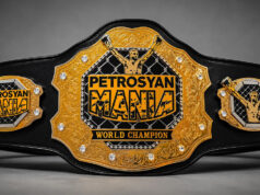 Petrosyanmania: kickboxing e anime a Milano petrosyan mania