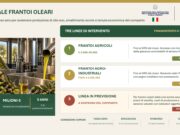 Agricoltura, Ismea: 40 mln per frantoi con ‘Cambiale Frantoi Oleari’