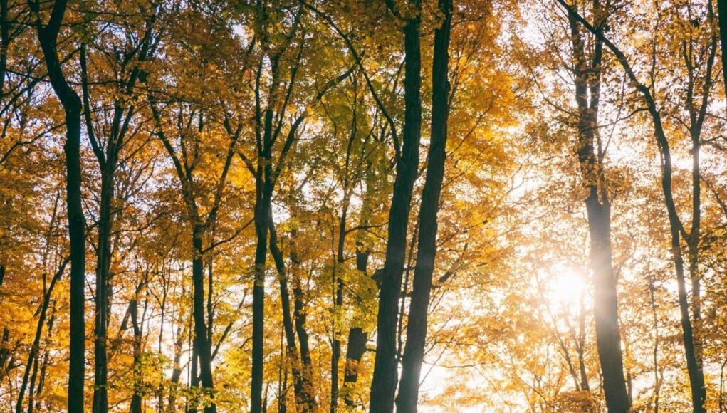 Ancora sole al Centro-Nord, maltempo in arrivo al Sud nel fine settimana: temperature in discesa