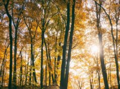 Ancora sole al Centro-Nord, maltempo in arrivo al Sud nel fine settimana: temperature in discesa