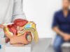 Cancro alla prostata, apalutamide con terapia ormonale riduce del 62% rischio di recidiva o morte