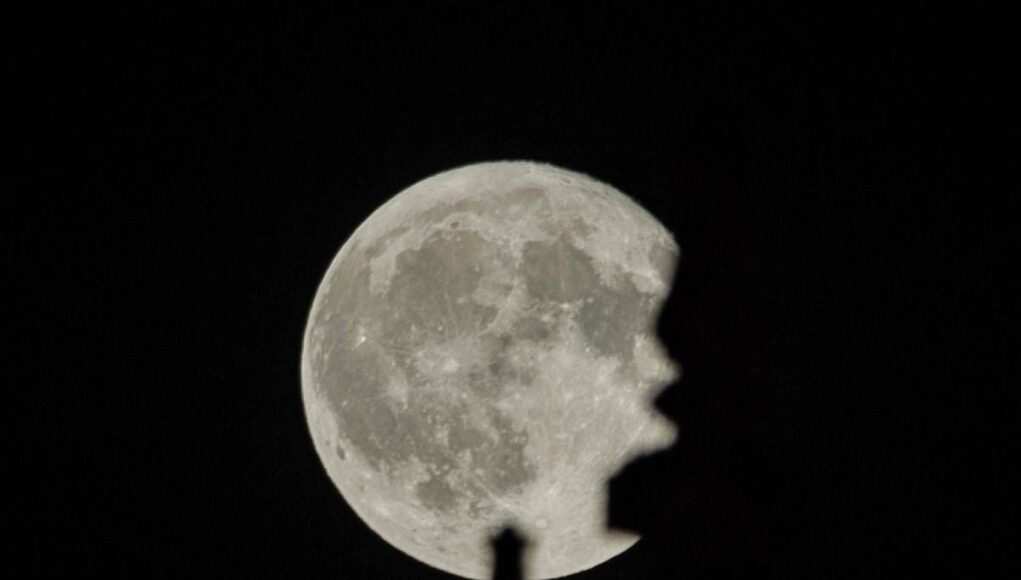 La Superluna, tre sciami di meteoriti e la parata dei pianeti: tutti gli eventi celesti di novembre 2026