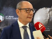 Raimondo (Tutela mozzarella bufala campana Dop): “Filiera 1,2-1,3 mld, quasi una Fiat”