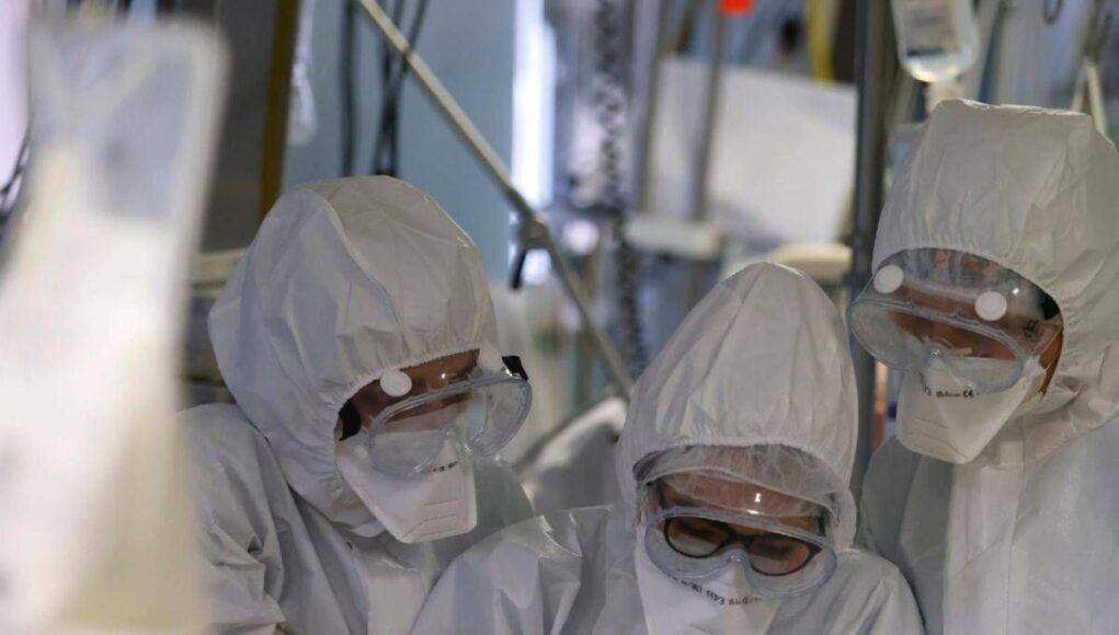 Virus Shamonda, “no casi umani in Italia, attenzione rafforzata”: la circolare del ministero dell a Salute