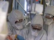 Virus Shamonda, “no casi umani in Italia, attenzione rafforzata”: la circolare del ministero dell a Salute