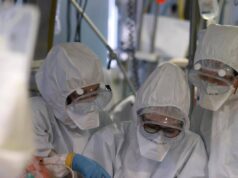 Virus Shamonda, “no casi umani in Italia, attenzione rafforzata”: la circolare del ministero dell a Salute