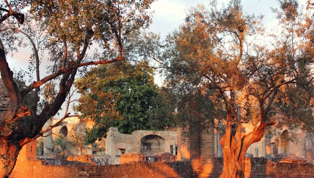 tivoli tivoli