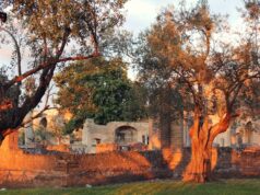 Tivoli in autunno: cosa vedere tra ville, giardini e cascate quando la folla si dirada tivoli